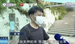 吃瓜奔现网红,揭秘网络与现实之间的奇妙邂逅
